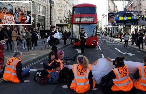 More than 100 arrested during weekend of eco-protests in London