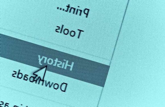 Most Brits keep their internet browser history hidden – but many don't know others can still see it, survey finds | The Sun