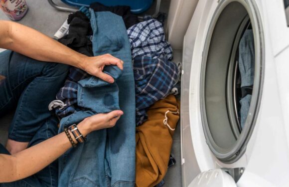 Mrs Hinch fans go crazy over a 33p hack to remove oil stains from clothes – and it's already sitting in your kitchen | The Sun