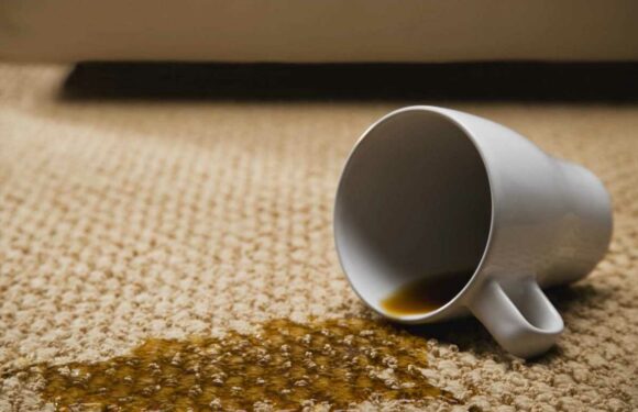 Mrs Hinch fans rave about £1 product that helps get even the toughest stains out of carpets | The Sun