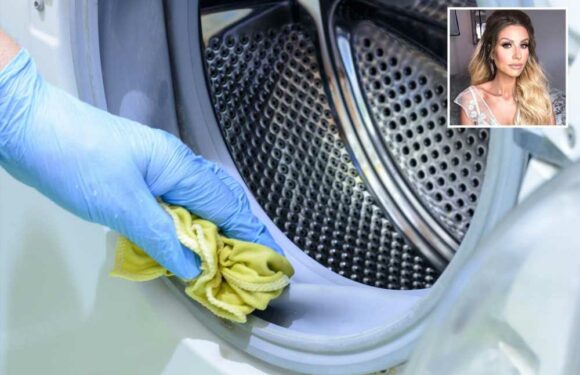 Mrs Hinch fans rave about 80p hack to 'properly' clean washing machines with no faff involved | The Sun
