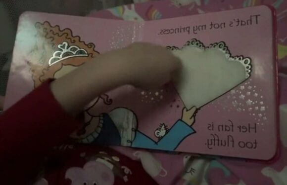 Mum in hysterics over popular kids’ book which is very rude… so have you noticed? | The Sun