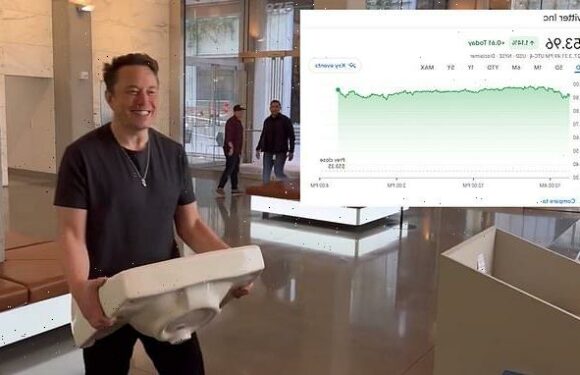 Musk 'plans to take Twitter public again within three to five years'