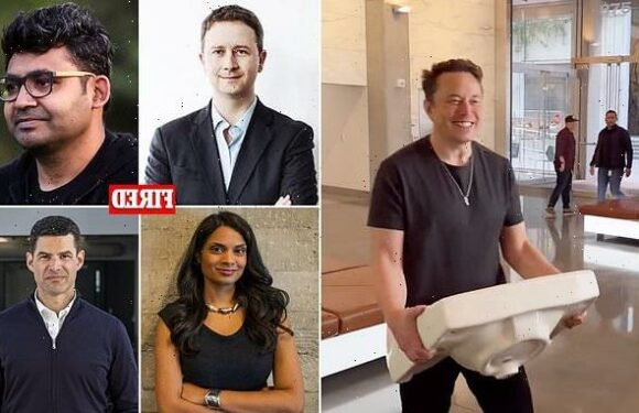 Musk fired Twitter execs 'for cause' to 'avoid paying out MILLIONS'