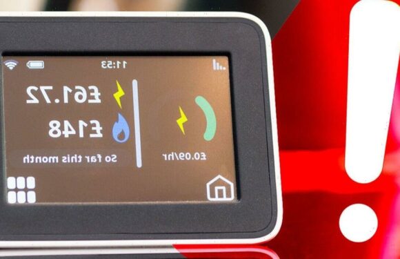 My smart meter shows worst day for energy usage – price was horrifying
