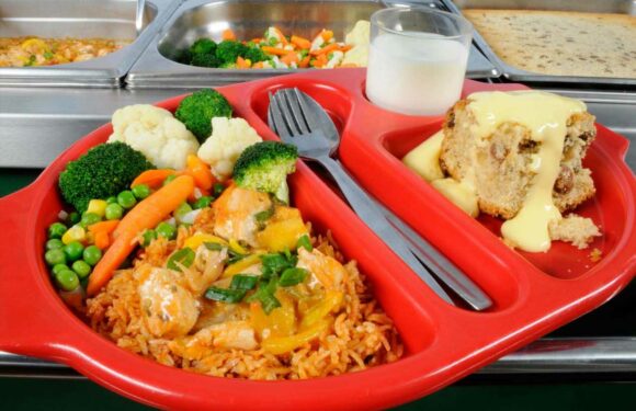 My son is given his school dinner an HOUR before home time… he's left with scraps and starving | The Sun