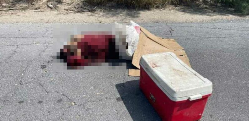 Mystery as 5 decapitated heads are found in cooler boxes with chilling note | The Sun