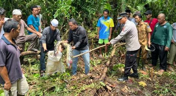 Nan eaten alive by 22ft snake in ‘agonising ordeal lasting at least two hours’