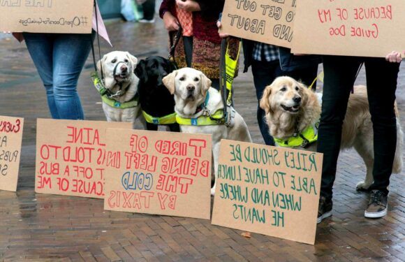 Nearly three quarters of guide dog owners have been illegally turned away from businesses in the last year, study finds | The Sun