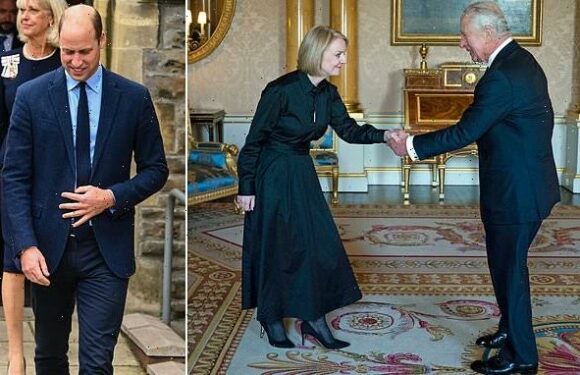 Neither Charles NOR William will attend Cop27 summit in Egypt