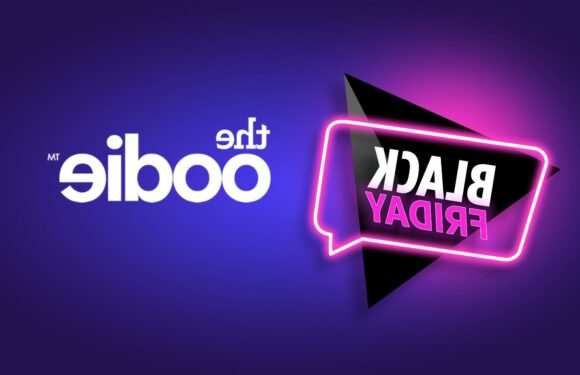 Oodie Black Friday Sale 2022: What to expect this November | The Sun