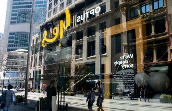 Optus was set to dine out on its success. Then the hack happened