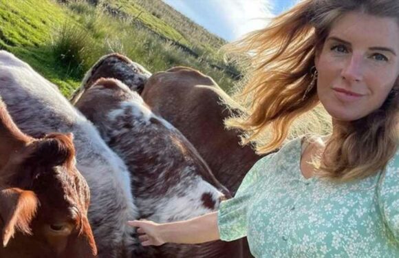 Our Yorkshire Farm's Amanda Owen rescued by son Reuben after getting stranded at Ravenseat | The Sun