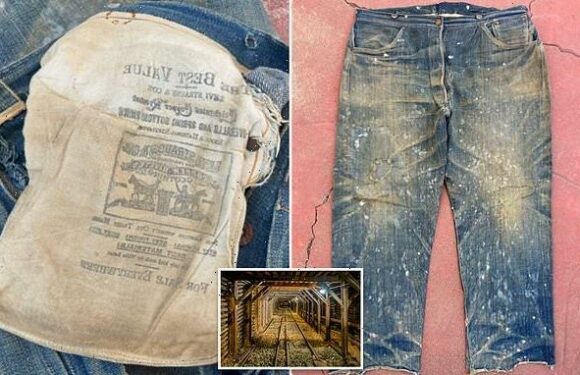 Pair of Levi's from 1880s found down New Mexico mine sell for $87k