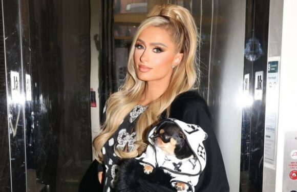 Paris Hilton Has ‘Not Given Up Hope’ Despite No Longer Searching for Missing Dog