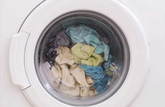 People are sharing their tips for drying clothes without a tumble dryer & loads swear by the right washing machine cycle | The Sun