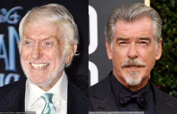 Pierce Brosnan Files Restraining Order Agains Stalker Targeting Dick Van Dyke