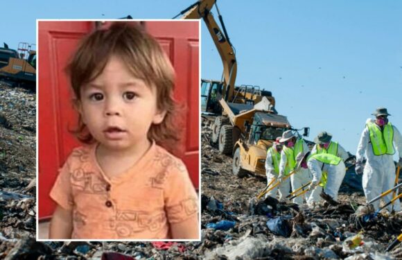 Police Search Georgia Landfill For Missing Toddler Quinton Simon's Body – While 'Prime Suspect' Mom Is Out Partying