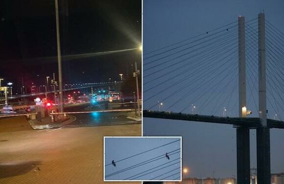 Police close Dartford crossing as JustStopOil activists climb bridge