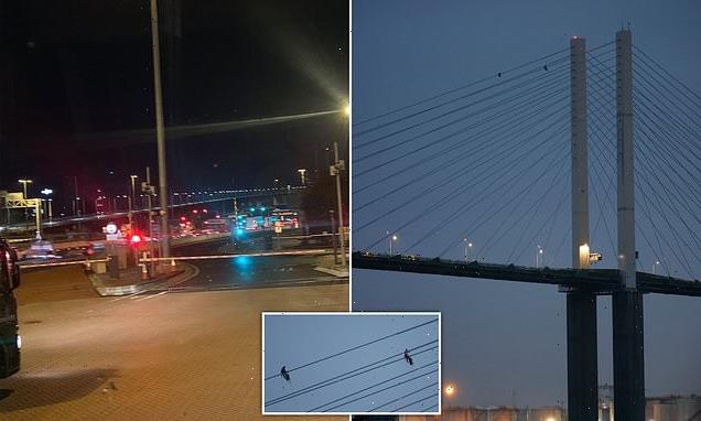 Police close Dartford crossing as JustStopOil activists climb bridge