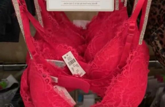 Primark fans are running to get their hands on the Victoria Secret rhinestone bra dupe and they cost £49 less | The Sun