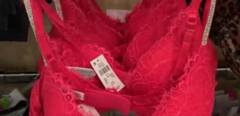 Primark fans are running to get their hands on the Victoria Secret rhinestone bra dupe and they cost £49 less | The Sun