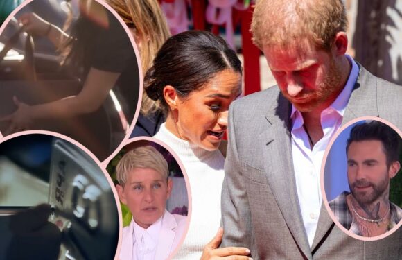 Prince Harry & Meghan Markle's A-Lister Neighborhood Targeted By NEW 'Bling Ring' Burglars!
