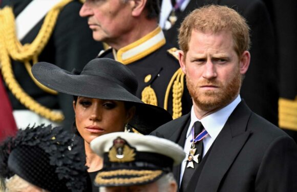 Prince Harry and Meghan Markle think they've been 'hung out to dry' after bombshell book claims, royal expert says | The Sun