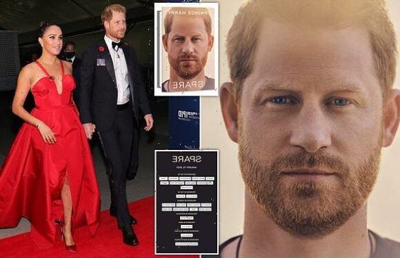 Prince Harry's memoir 'is critical of everyone and everything'