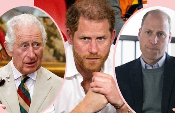 Prince Harry's Memoir Title Is Super Intense – But What Does It Really Mean?