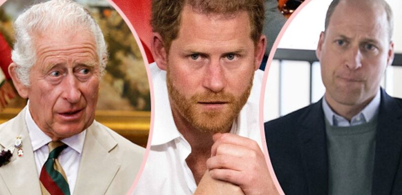 Prince Harry's Memoir Title Is Super Intense – But What Does It Really Mean?