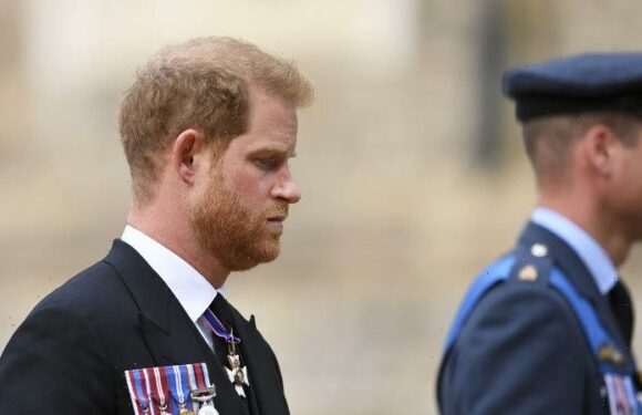 Prince Harry’s memoir a ‘beautiful read’ not a takedown, say insiders
