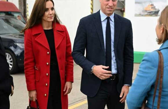 Prince William will carry out his father’s Duchy plan to build the Faversham Project