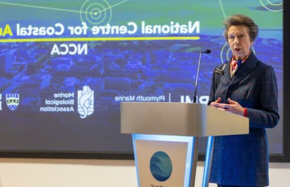 Princess Anne steps out in suit and earrings inspired by the Queen