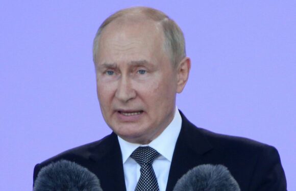 Putin will fall if Ukraine war fails, expert says