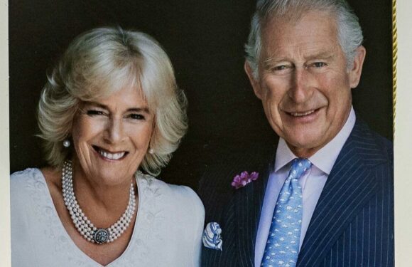Queen Camilla is especially fond of £50k necklace in new portrait