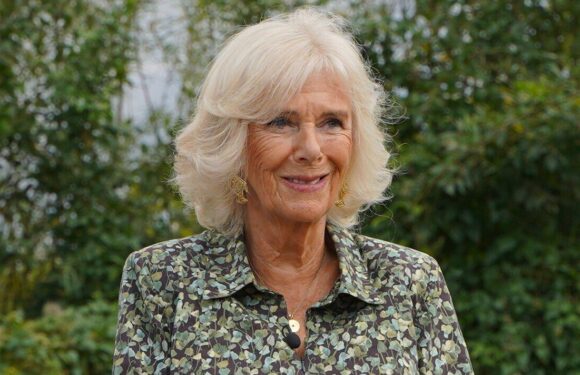 Queen Consort Camilla may avoid ladies-in-waiting tradition