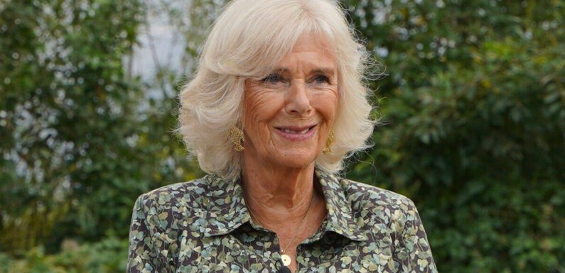 Queen Consort Camilla may avoid ladies-in-waiting tradition