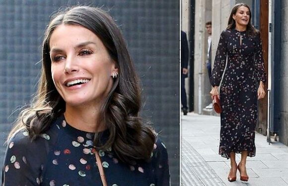 Queen Letizia of Spain oozes elegance in a navy polka dot dress