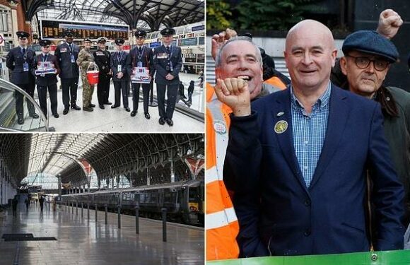 RMT union postpones November 3 rail strike due to Poppy Day