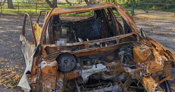 RSPCA hunt ‘ritualistic killer’ who displayed dead rabbits around burnt-out car