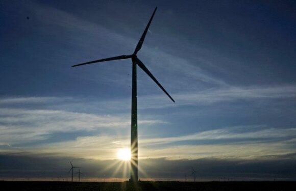 Rays of hope amid dire climate warnings