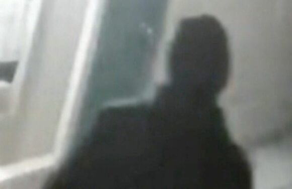 Reward offered for serial killer’s capture after six men ambushed and shot dead