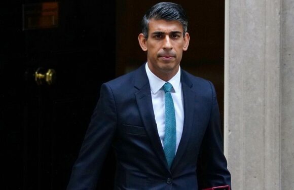 Rishi Sunak pulls out of Cop 27 to focus on Autumn Budget