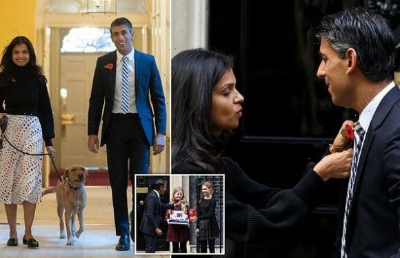 Rishi Sunak struggles to slot bank note into Poppy Appeal tin