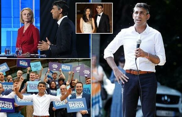 Rishi Sunak's allies insist only he can steady the Tory ship