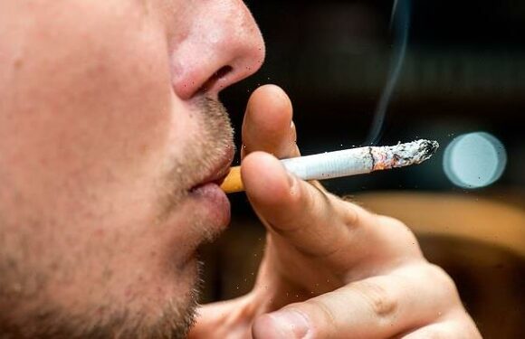 Road name is butt of a joke as critics say tobacco reference is wrong