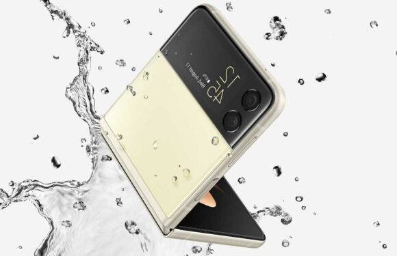 Samsung fans offered Galaxy Z Flip 3 at great price and that’s not all