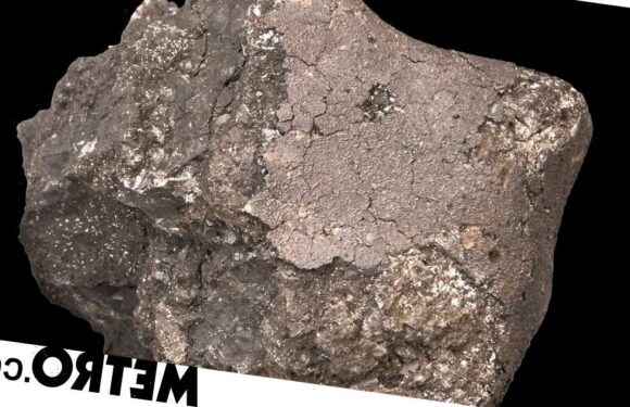 Scientists find the source of one of the rarest meteorites to fall on Earth
