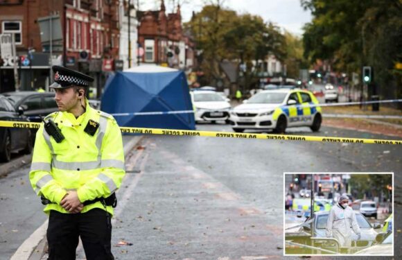 Screams heard as Manchester Metropolitan University student, 19, killed in random attack 'while walking home from party’ | The Sun